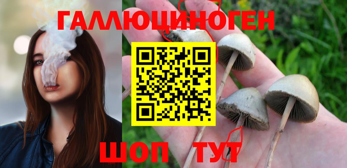 Псилоцибиновые грибы прущие грибы Ялта